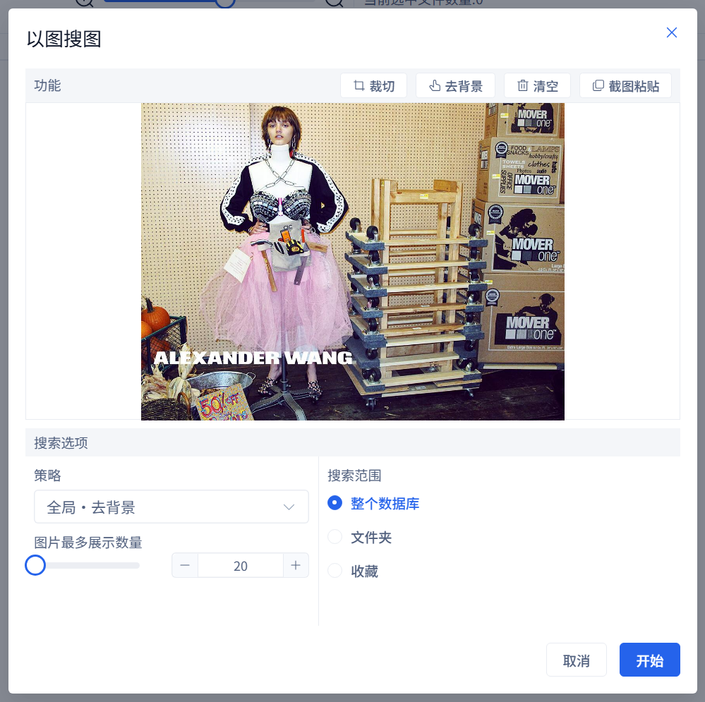 同一张欧美时尚参考图已放入以图搜图窗口，可继续选择策略、范围和数量